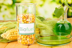 Llysfaen biofuel availability