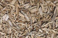 biomass boilers Llysfaen